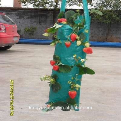 strawberry hanging planting bags