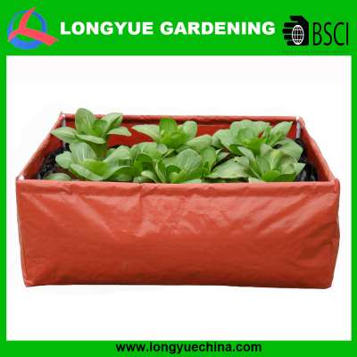 vegetables growing bag