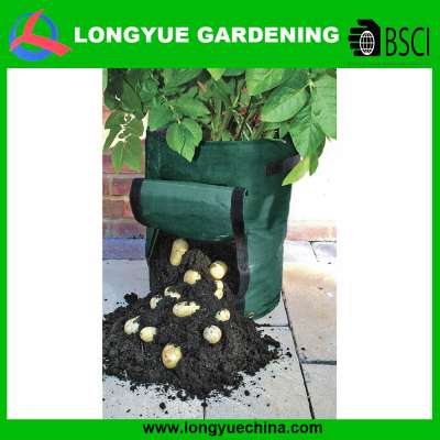 Cheap popular PE plastic potato growing bag